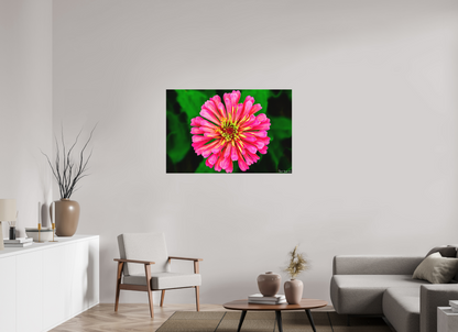 45 x 30″, Forex Peach Summer