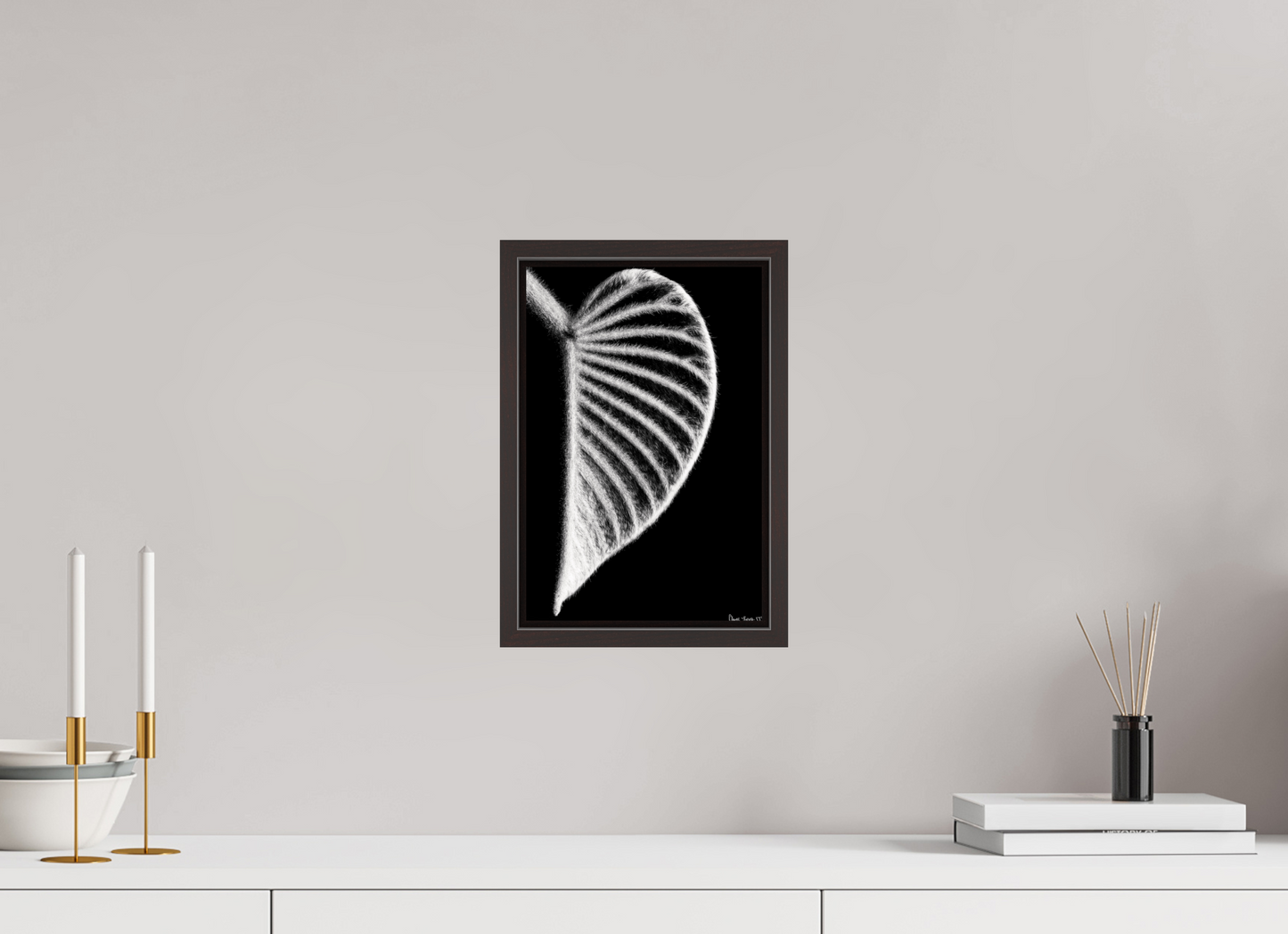 8 x 12″, Floater Frame Alder Brown Onyx Organ