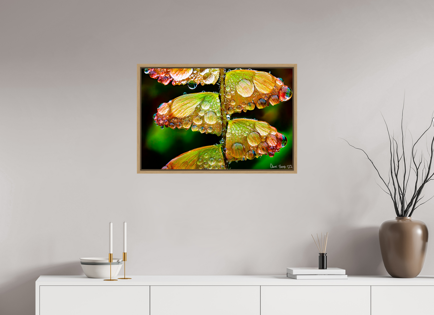 30 x 20″, Floater Frame Natural Oak Monarch’s Abundance