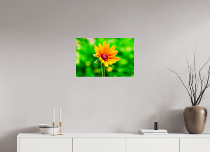 24 x 16″, Glossy Metal Stillness in the Blur