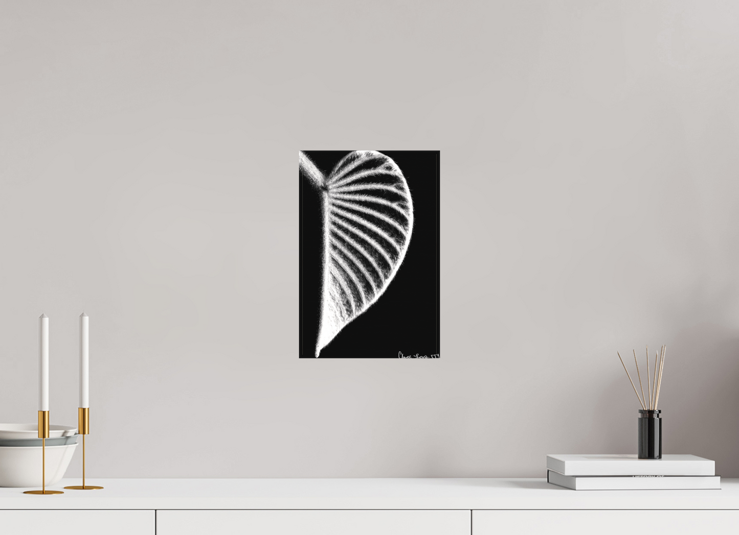 8 x 12″, Matte Canvas Onyx Organ