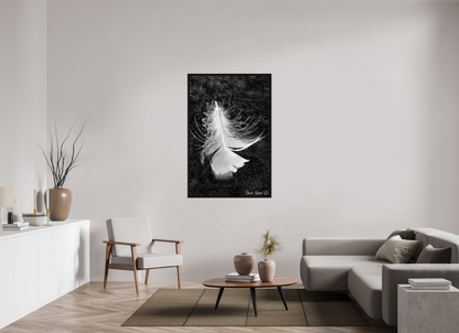 36 x 54″, Floater Frame Black Oak Feather On Ice