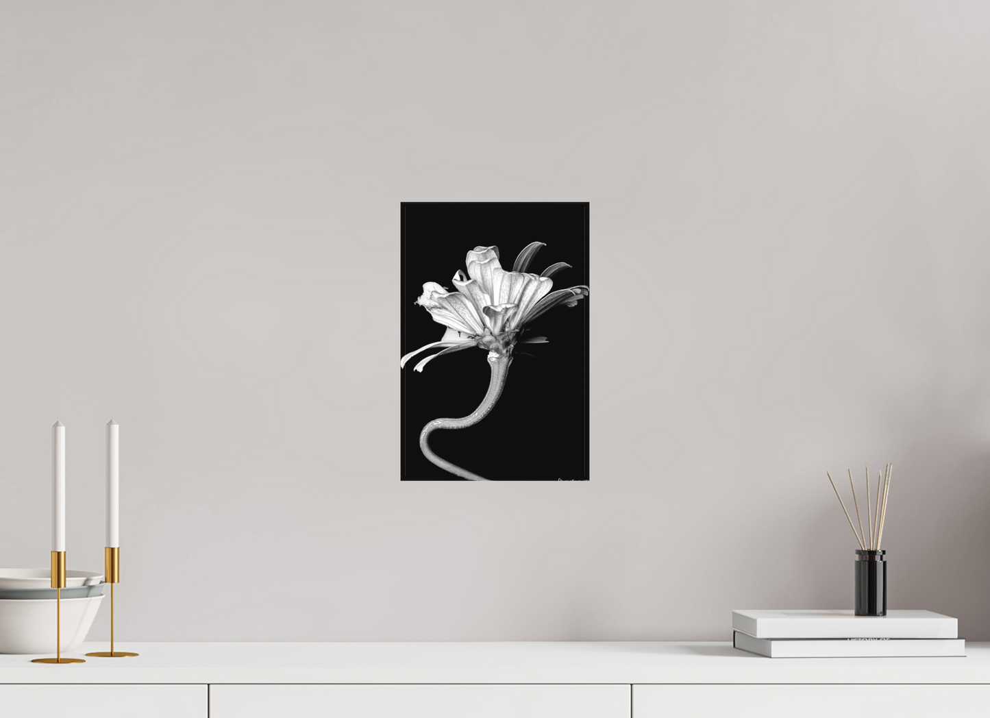 8 x 12″, Matte Canvas Kingsnake’s Florescence