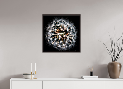 25 x 25″, Floater Frame Alder Brown Starburst