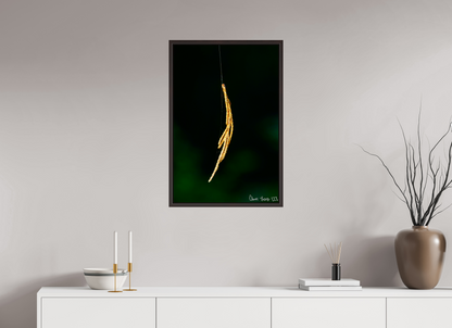 20 x 30″, Floater Frame Alder Brown Nature’s Tether