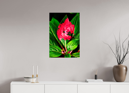 20 x 30″, Glossy Canvas Subsume