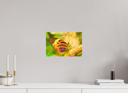 12 x 8″, Matte Canvas Flamboyance