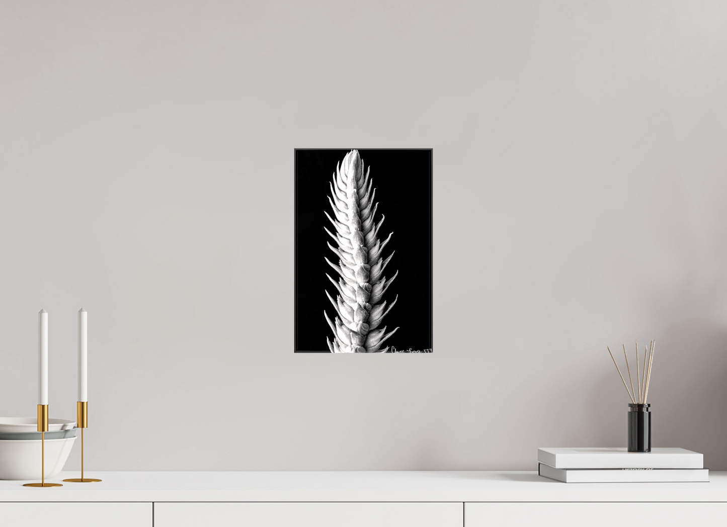 8 x 12″, Glossy Canvas Vertebrae