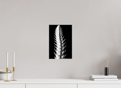 8 x 12″, Glossy Canvas Vertebrae