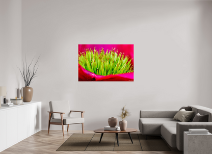 54 x 36″, Acrylic Spiked