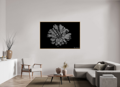 66 x 44″, Floater Frame Natural Oak Carbon Zinnia