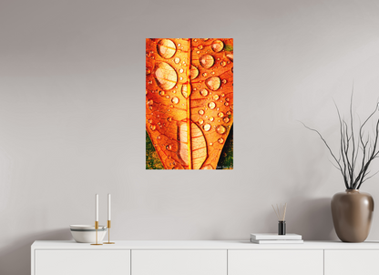 20 x 30″, Matte Metal Transparency