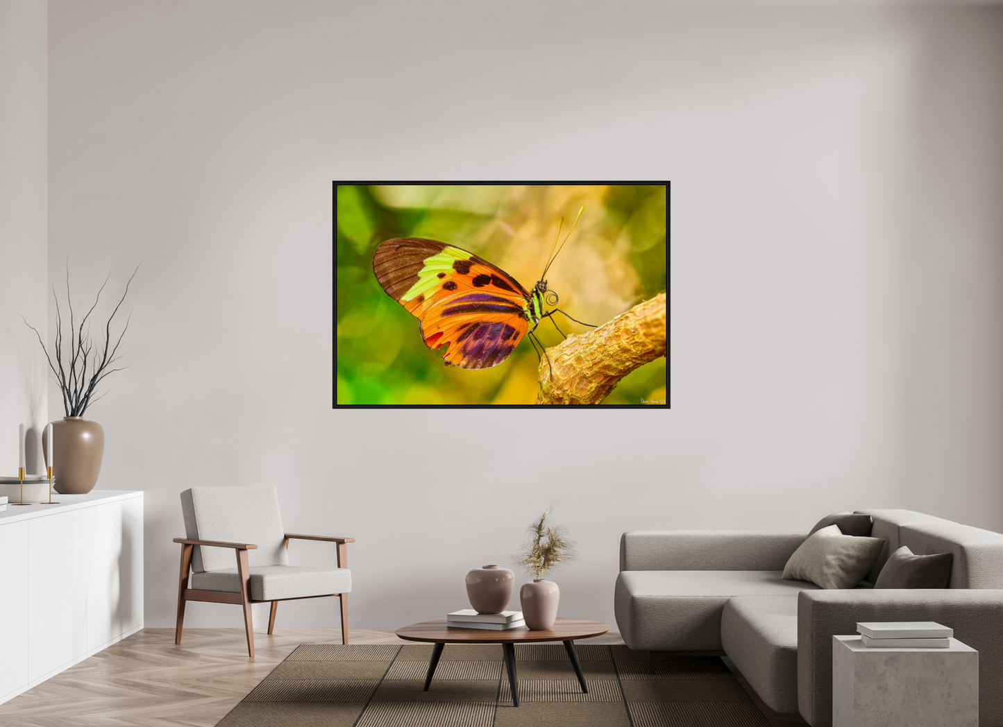 66 x 44″, Floater Frame Black Oak Flamboyance