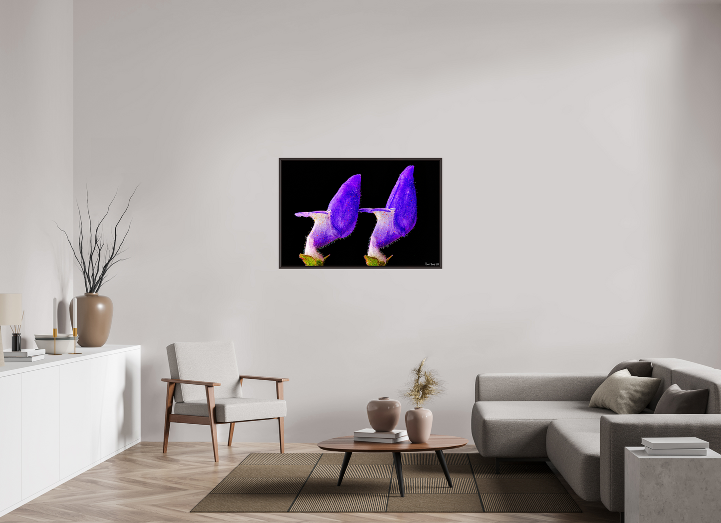 45 x 30″, Floater Frame Alder Brown Coleus Barbatus