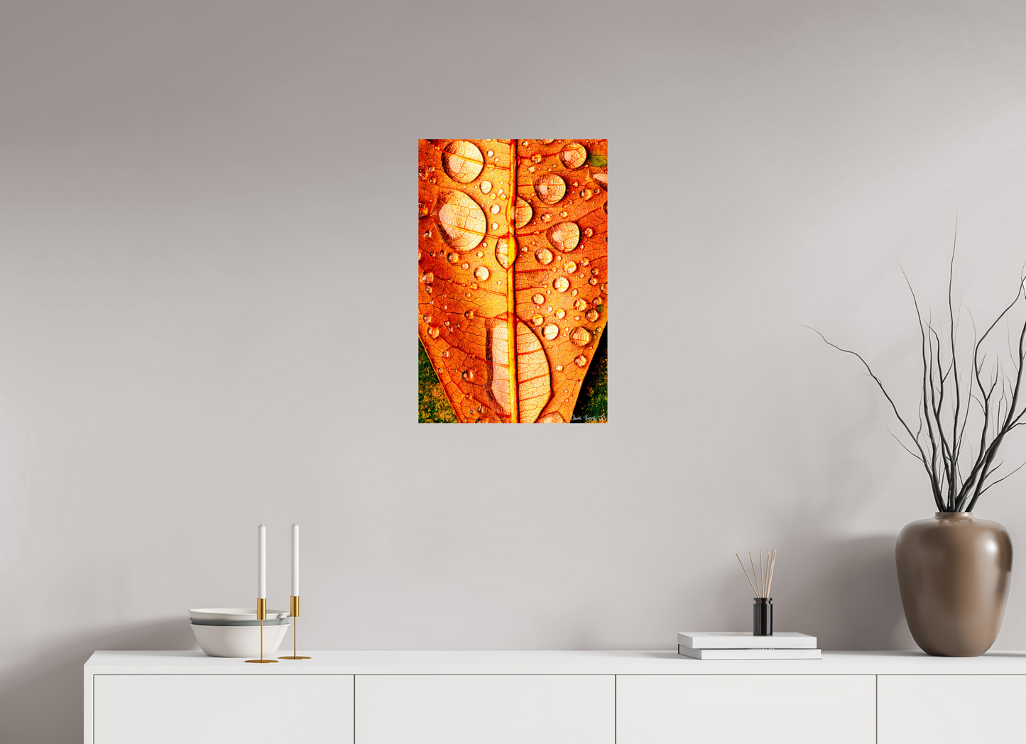 16 x 24″, Glossy Metal Transparency