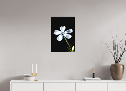 16 x 24″, Matte Canvas Silver Petals