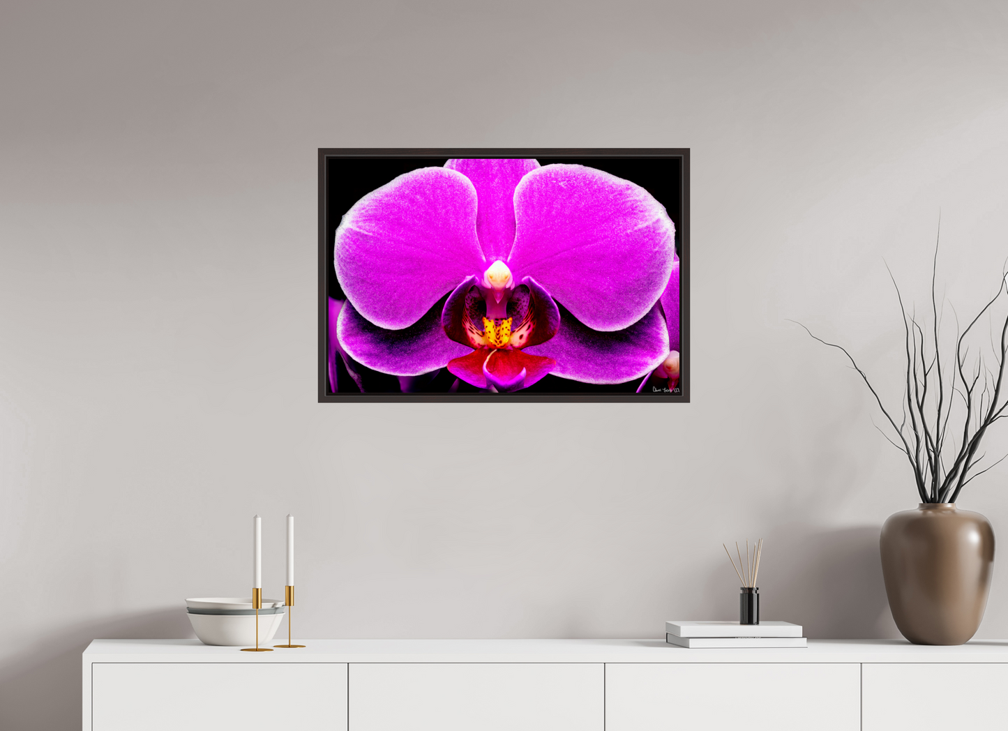 30 x 20″, Floater Frame Alder Brown Magnificence