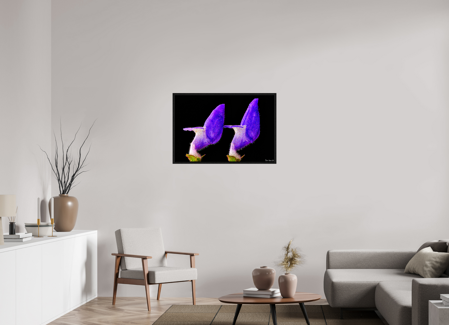 36 x 24″, Floater Frame Black Oak Coleus Barbatus