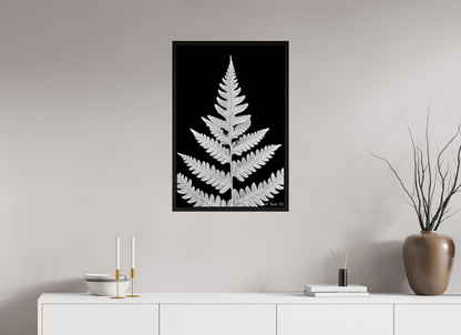 20 x 30″, Floater Frame Black Oak Inverted Viridescence
