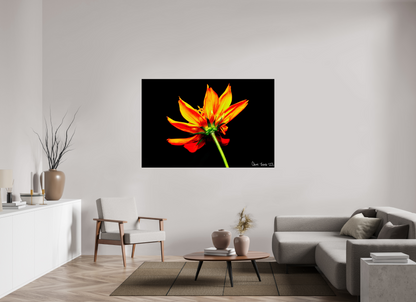 66 x 44″, Acrylic Soaring Phoenix