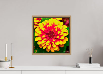 15 x 15″, Floater Frame Natural Oak Radiance