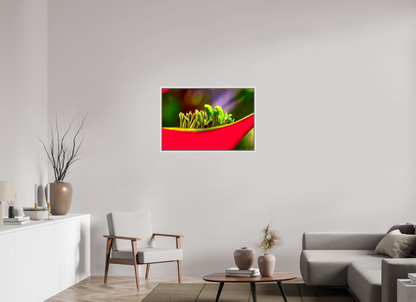 36 x 24″, Floater Frame Maple White Utopia