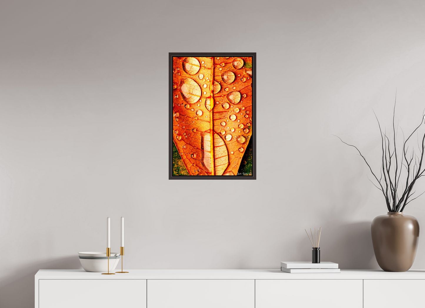 16 x 24″, Floater Frame Alder Brown Transparency