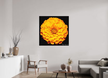 45 x 45″, Matte Metal Midnight Sun