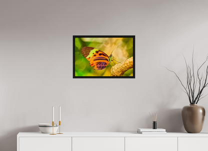 24 x 16″, Floater Frame Black Oak Flamboyance