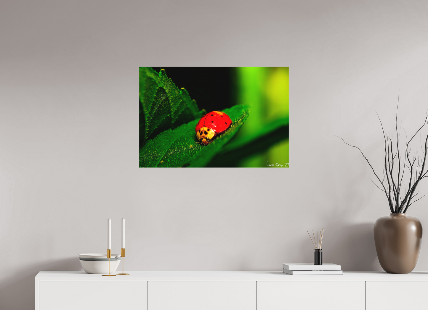30 x 20″, Matte Canvas Our Lady Bird