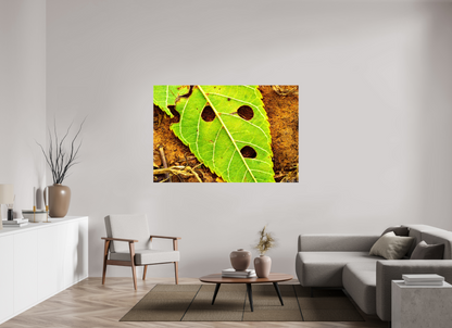 66 x 44″, Glossy Canvas Flabbergasted