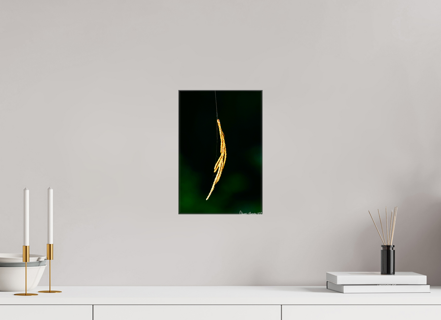 8 x 12″, Glossy Canvas Nature’s Tether