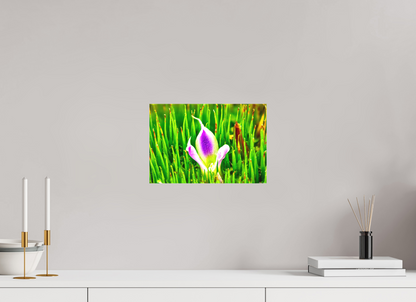 12 x 8″, Matte Canvas Maverick