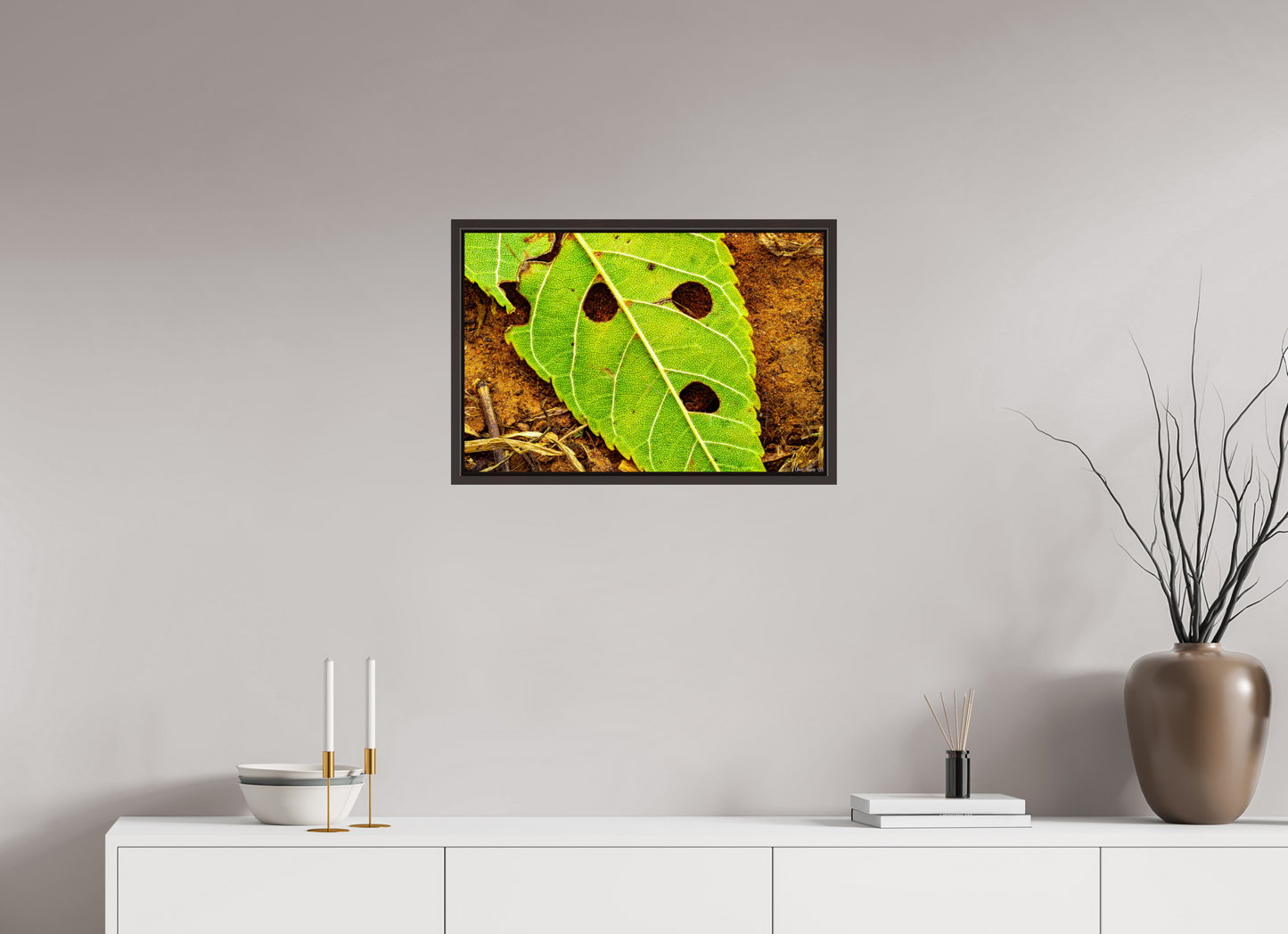 24 x 16″, Floater Frame Alder Brown Flabbergasted