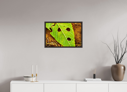 24 x 16″, Floater Frame Alder Brown Flabbergasted