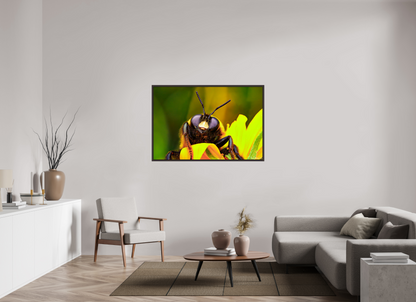 54 x 36″, Floater Frame Alder Brown The Curious Bumblebee
