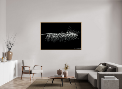 66 x 44″, Floater Frame Natural Oak Hallucigenia