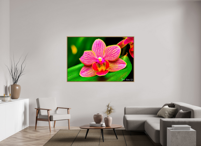 66 x 44″, Floater Frame Natural Oak Vigorous Orchid