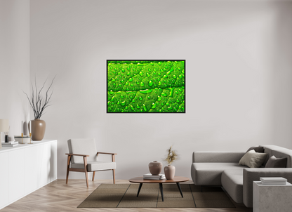 54 x 36″, Floater Frame Black Oak Smile