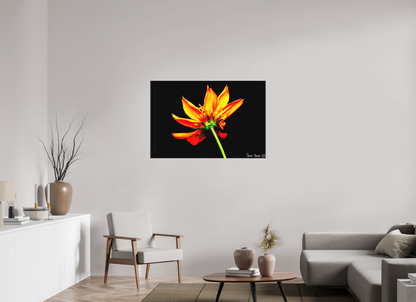 45 x 30″, Matte Canvas Soaring Phoenix