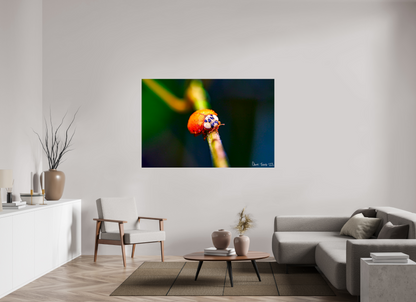 66 x 44″, Glossy Metal Dew-Kissed Ladybug