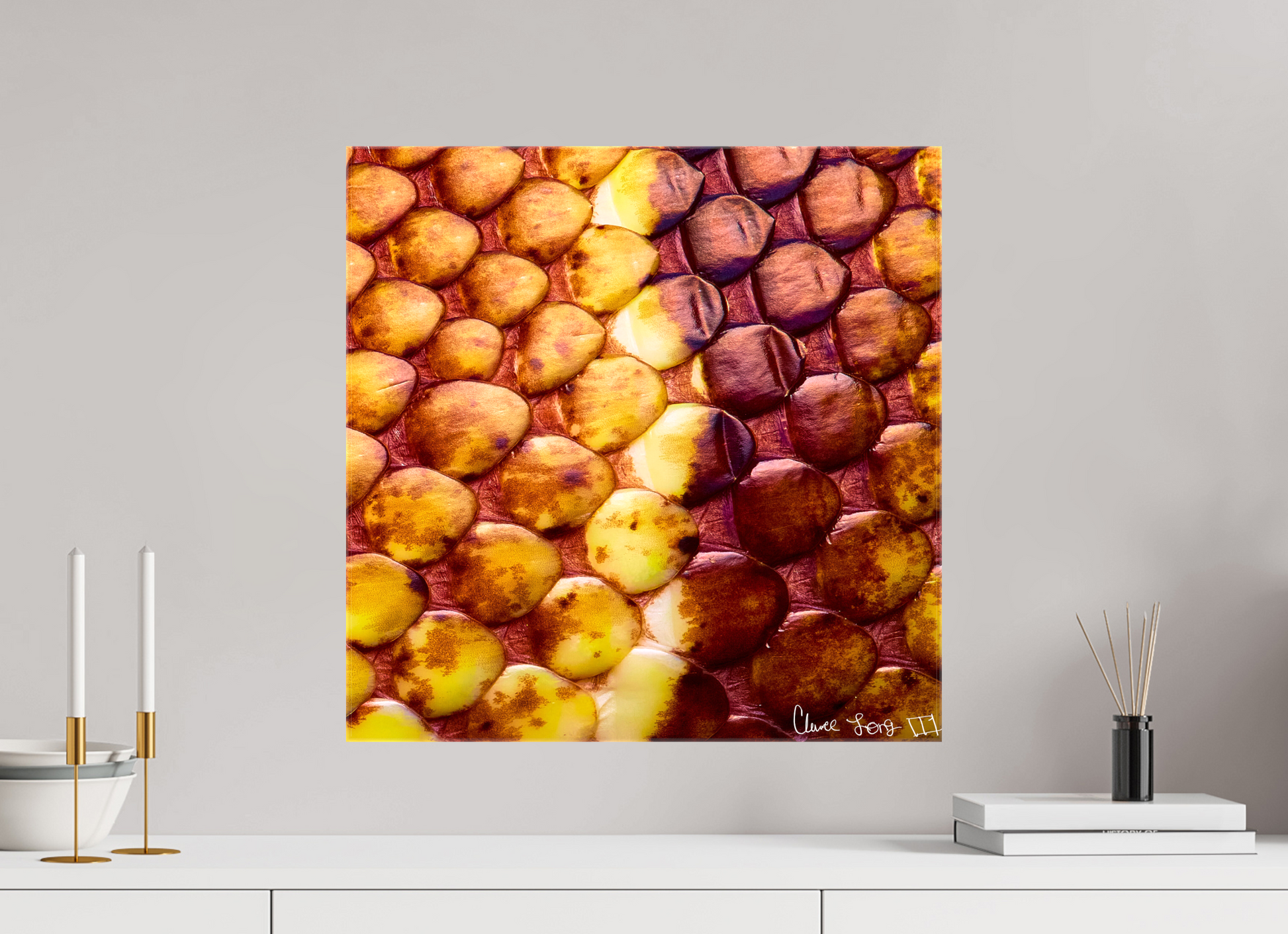 20 x 20″, Glossy Canvas Reptilian Divide