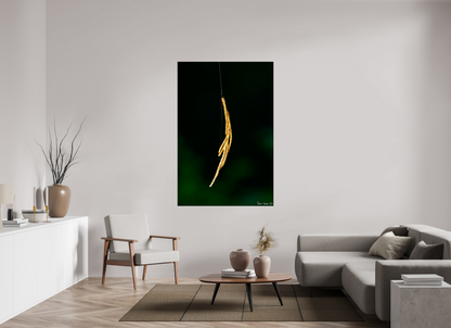 44 x 66″, Glossy Metal Nature’s Tether
