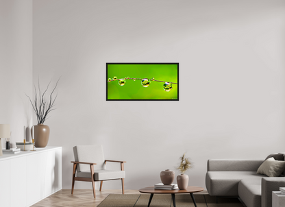 40 x 20″, Floater Frame Black Oak Refraction