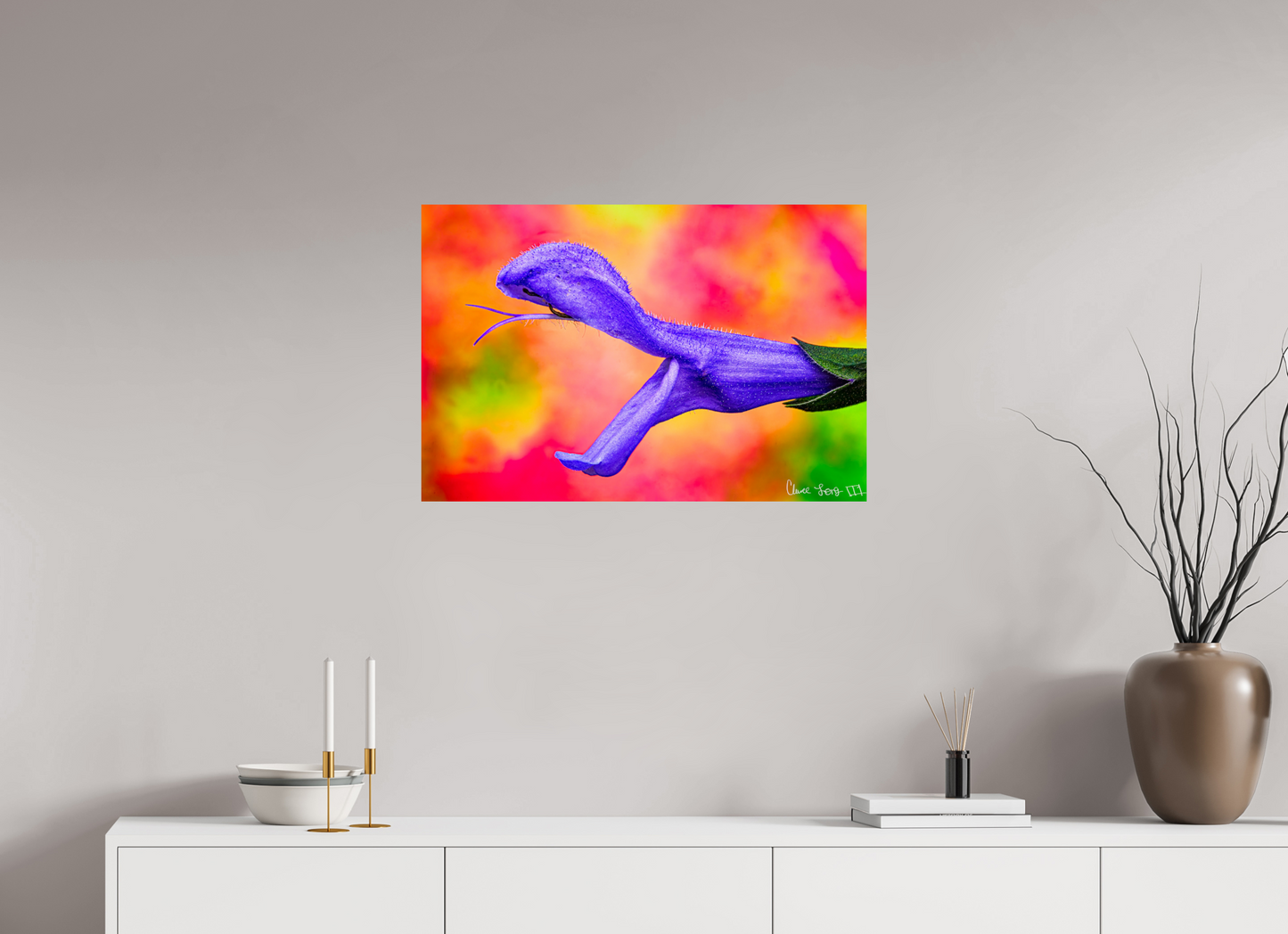 30 x 20″, Glossy Metal Eden’s Serpent