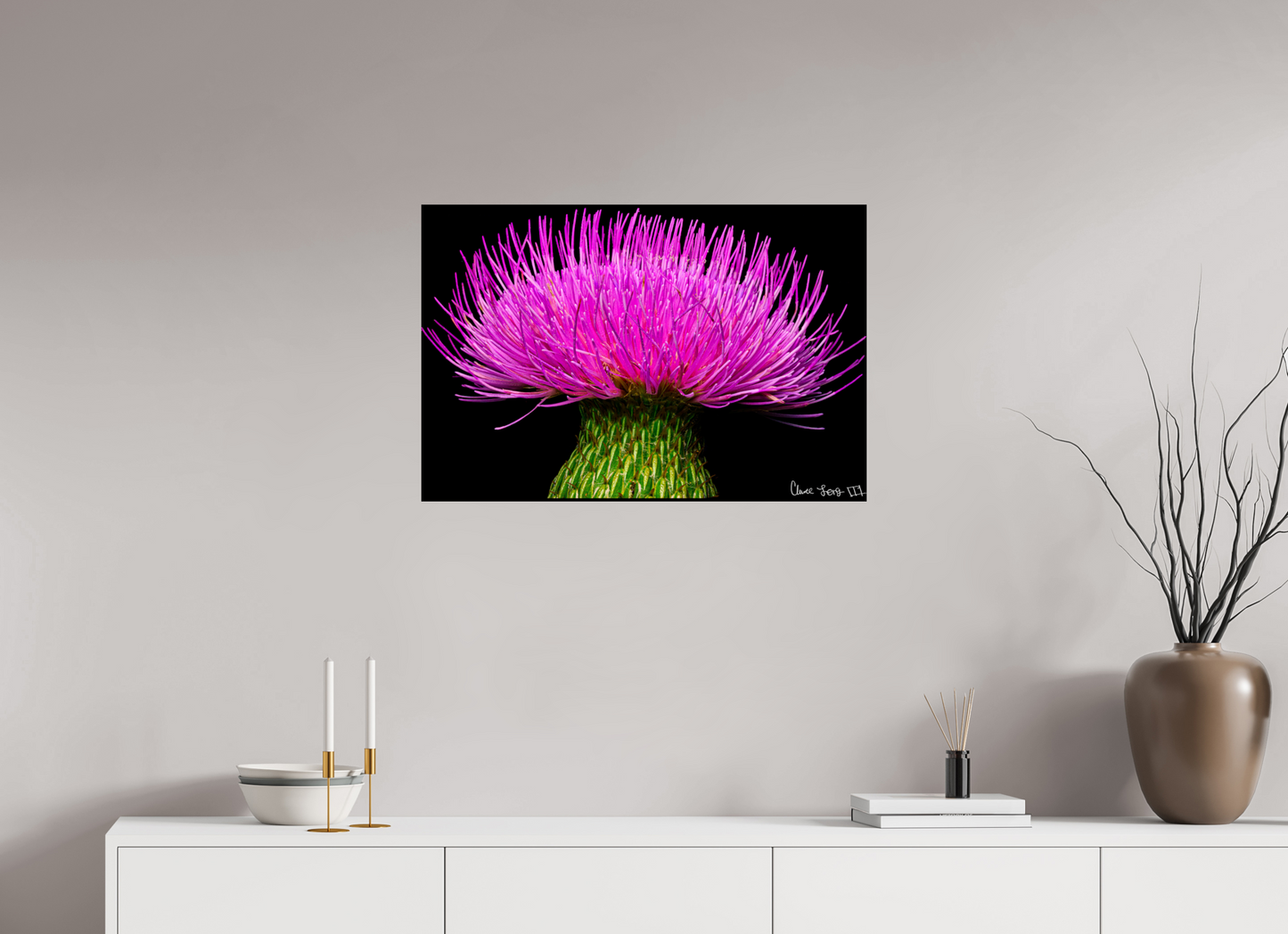 30 x 20″, Glossy Metal Silybum