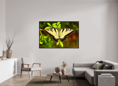 66 x 44″, Floater Frame Black Oak Angel's Landing