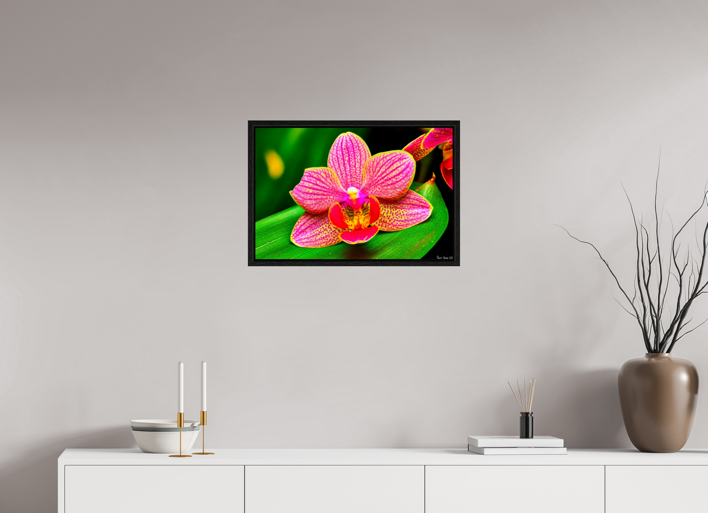 24 x 16″, Floater Frame Black Oak Vigorous Orchid