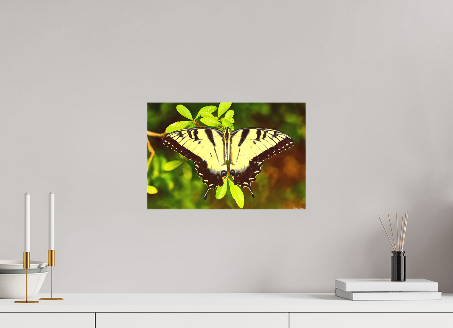 15 x 10″, Matte Canvas Angel's Landing