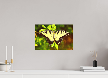 15 x 10″, Matte Canvas Angel's Landing